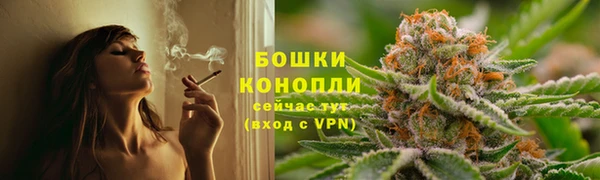 хмурый Нея