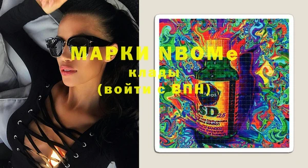 хмурый Нея
