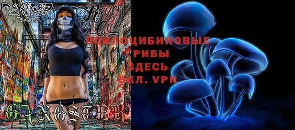 прущий лед Надым