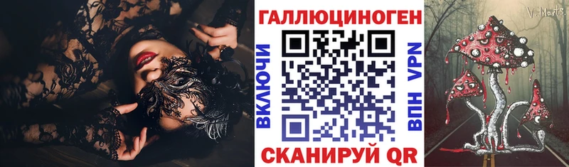 купить  цена  Кемь  Псилоцибиновые грибы MAGIC MUSHROOMS 