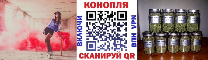 Бошки марихуана тримм  где купить наркотик  Кемь 